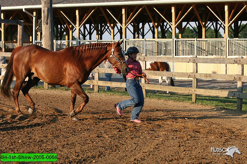 4H-1st-Show-2005-0056.jpg