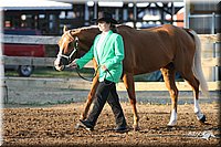 4H-1st-Show-2005-0042.jpg