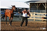 4H-1st-Show-2005-0049.jpg