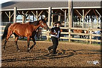 4H-1st-Show-2005-0050.jpg