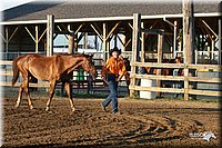 4H-1st-Show-2005-0052.jpg