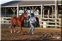 4H-1st-Show-2005-0053.jpg