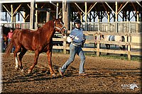 4H-1st-Show-2005-0054.jpg