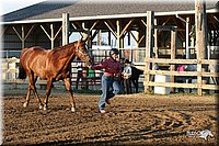 4H-1st-Show-2005-0055.jpg