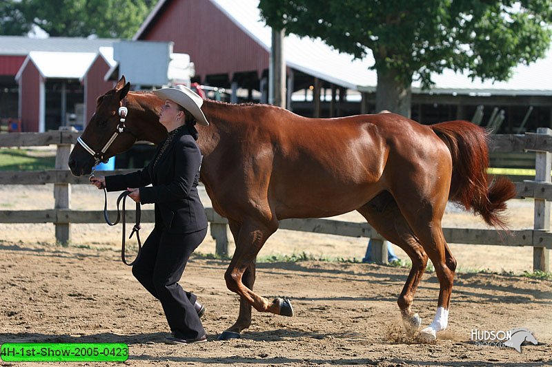 4H-1st-Show-2005-0423.jpg