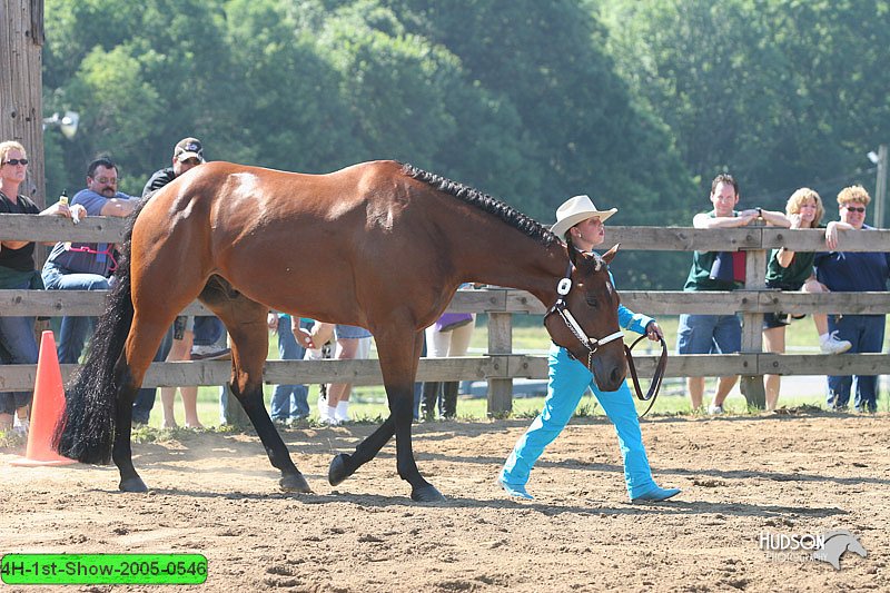 4H-1st-Show-2005-0546.jpg