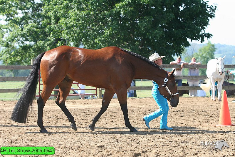 4H-1st-Show-2005-0547.jpg