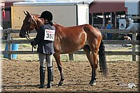 4H-1st-Show-2005-0380.jpg