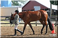 4H-1st-Show-2005-0388.jpg