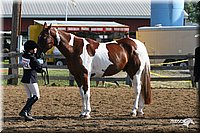 4H-1st-Show-2005-0393.jpg