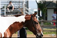 4H-1st-Show-2005-0397.jpg