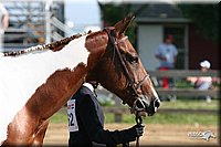 4H-1st-Show-2005-0398.jpg