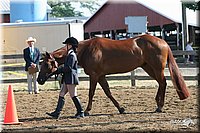 4H-1st-Show-2005-0403.jpg