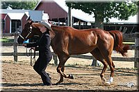 4H-1st-Show-2005-0423.jpg