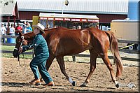 4H-1st-Show-2005-0427.jpg