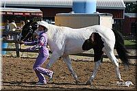 4H-1st-Show-2005-0432.jpg