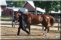 4H-1st-Show-2005-0438.jpg