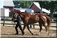 4H-1st-Show-2005-0439.jpg