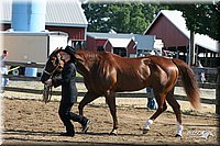 4H-1st-Show-2005-0440.jpg