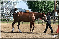 4H-1st-Show-2005-0443.jpg