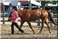 4H-1st-Show-2005-0444.jpg