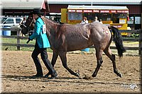 4H-1st-Show-2005-0447.jpg