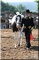 4H-1st-Show-2005-0488.jpg