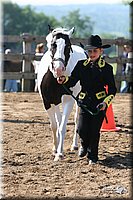 4H-1st-Show-2005-0489.jpg