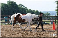 4H-1st-Show-2005-0495.jpg