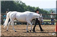 4H-1st-Show-2005-0505.jpg