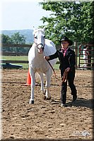 4H-1st-Show-2005-0506.jpg