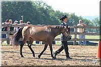 4H-1st-Show-2005-0531.jpg