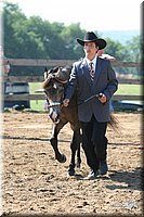 4H-1st-Show-2005-0532.jpg