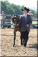 4H-1st-Show-2005-0533.jpg