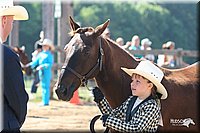 4H-1st-Show-2005-0543.jpg