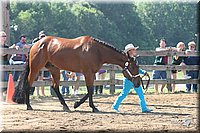 4H-1st-Show-2005-0546.jpg