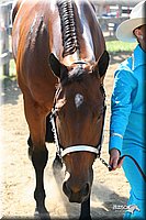 4H-1st-Show-2005-0554.jpg