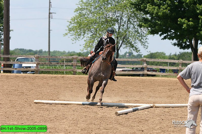 4H-1st-Show-2005-0895.jpg