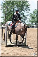 4H-1st-Show-2005-0898.jpg