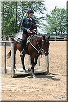 4H-1st-Show-2005-0918.jpg