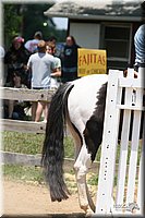 4H-1st-Show-2005-0931.jpg