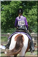 4H-1st-Show-2005-0676.jpg