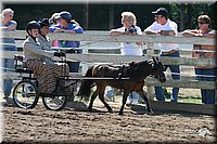 4H-District-2005-0687.jpg