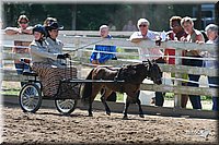 4H-District-2005-0690.jpg