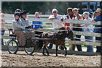 4H-District-2005-0691.jpg