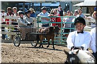 4H-District-2005-0693.jpg