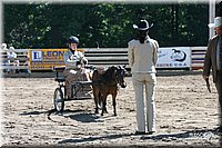 4H-District-2005-0696.jpg