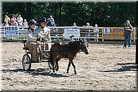 4H-District-2005-0711.jpg