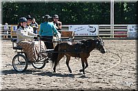 4H-District-2005-0712.jpg