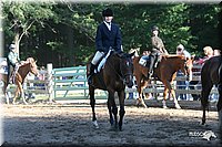 4H-District-2005-1439.jpg